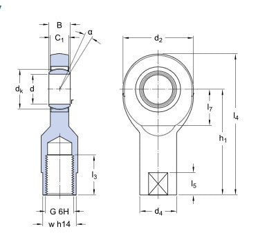SKF SI 15 C gewrichtskop
