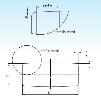 SKF RC-6X8 C rouleau de roulement