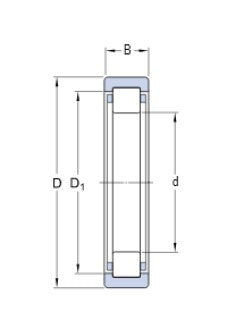 SKF RNU 203 ECP rollager